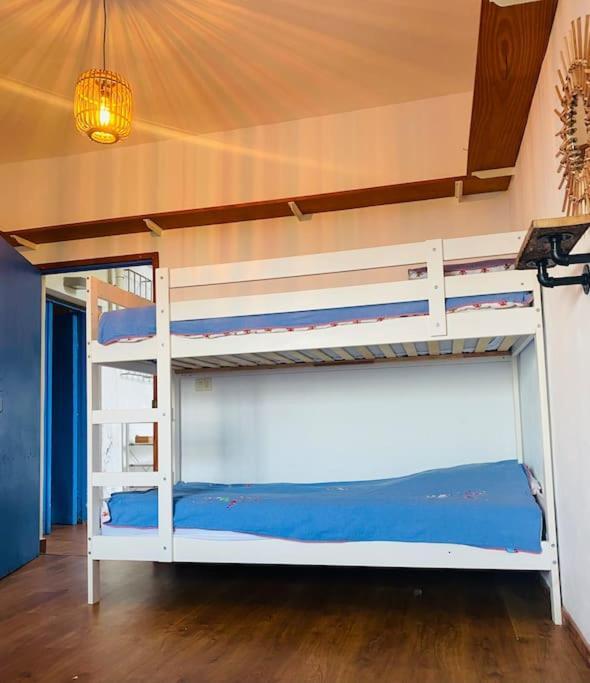 阿鲁卡斯Tortuga Blue House In Banana Plantation别墅 外观 照片